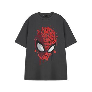Spider-Man Mens Friendly Neighbourhood Short-Sleeved T-Shirt / Charcoal